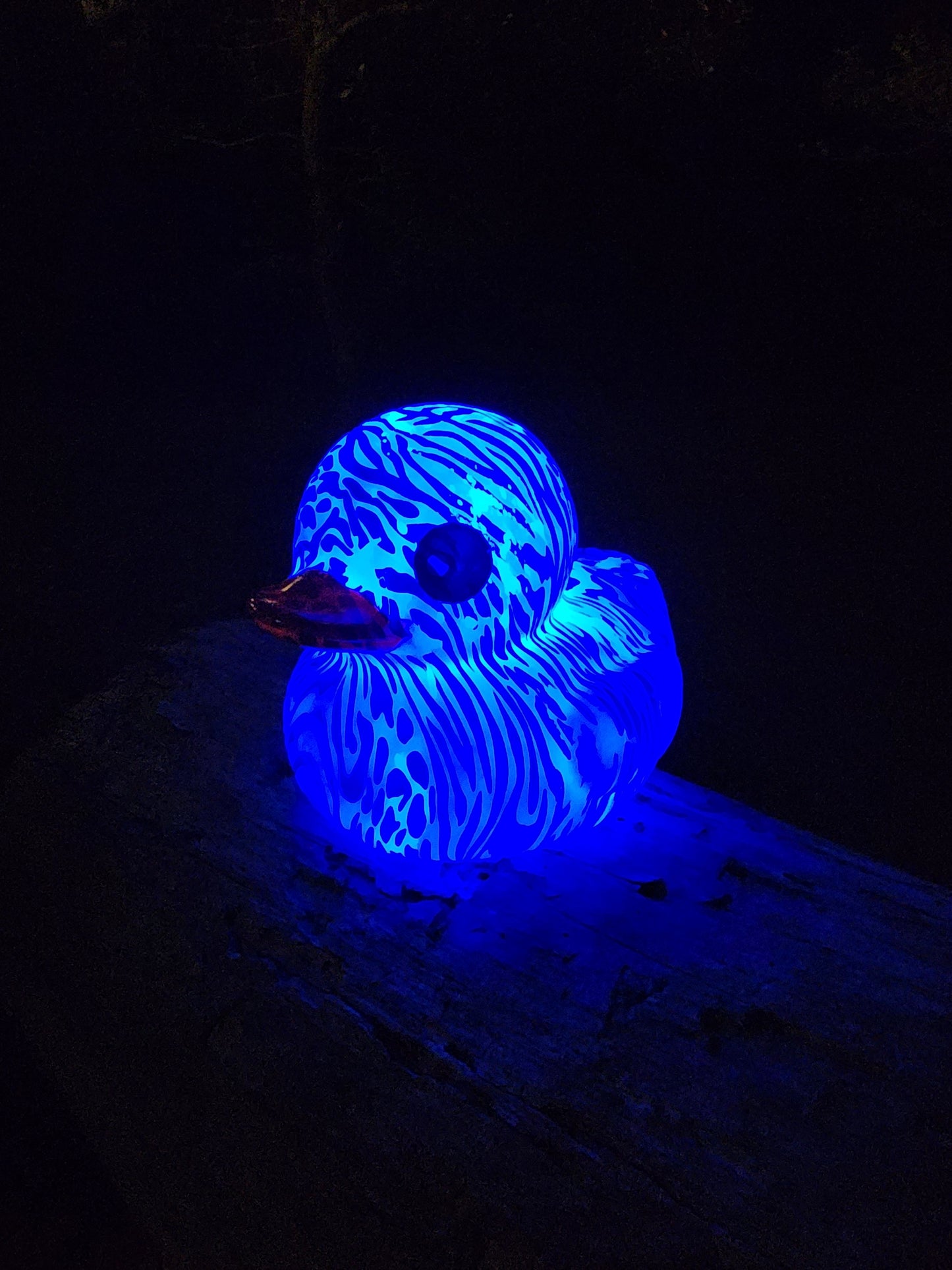 6in Large Duck Light/No Light
