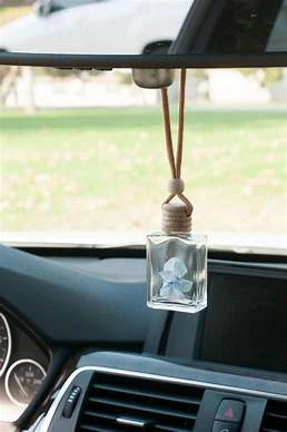 Car Diffuser (Pink Friday SALE)