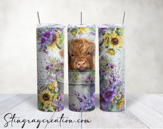 Baby Highland Cow