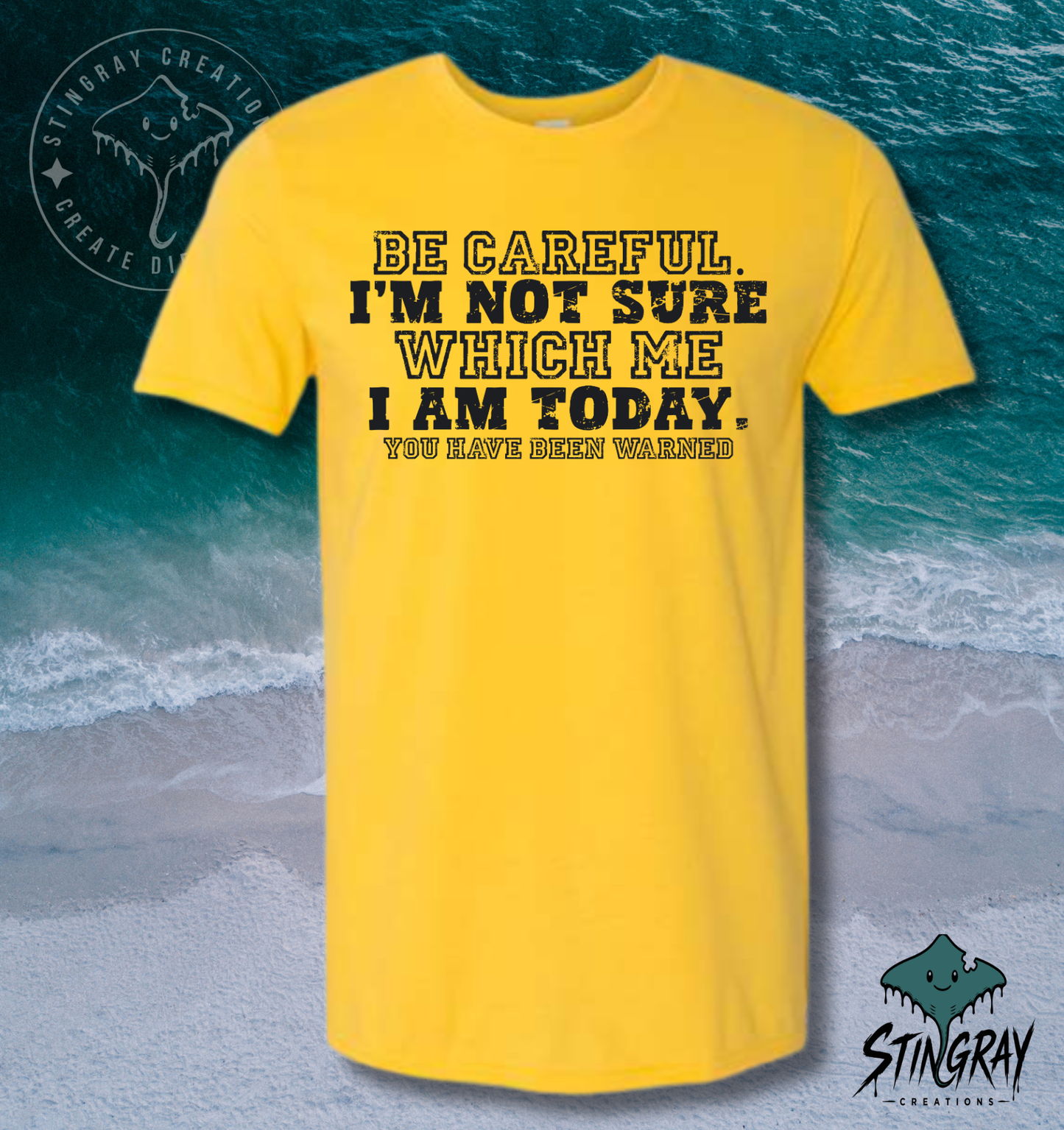 Be Careful, I’m Not Sure Which Me I Am Today T-Shirt &amp; Crewneck Sweatshirt | Funny Sarcastic Shirt