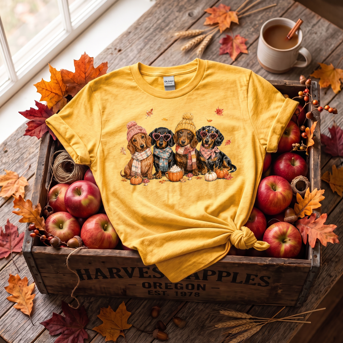Fall Dachshund Crewneck Sweatshirt | Cute Weenie Dog Autumn Sweatshirt | Dog Lover Fall Shirt